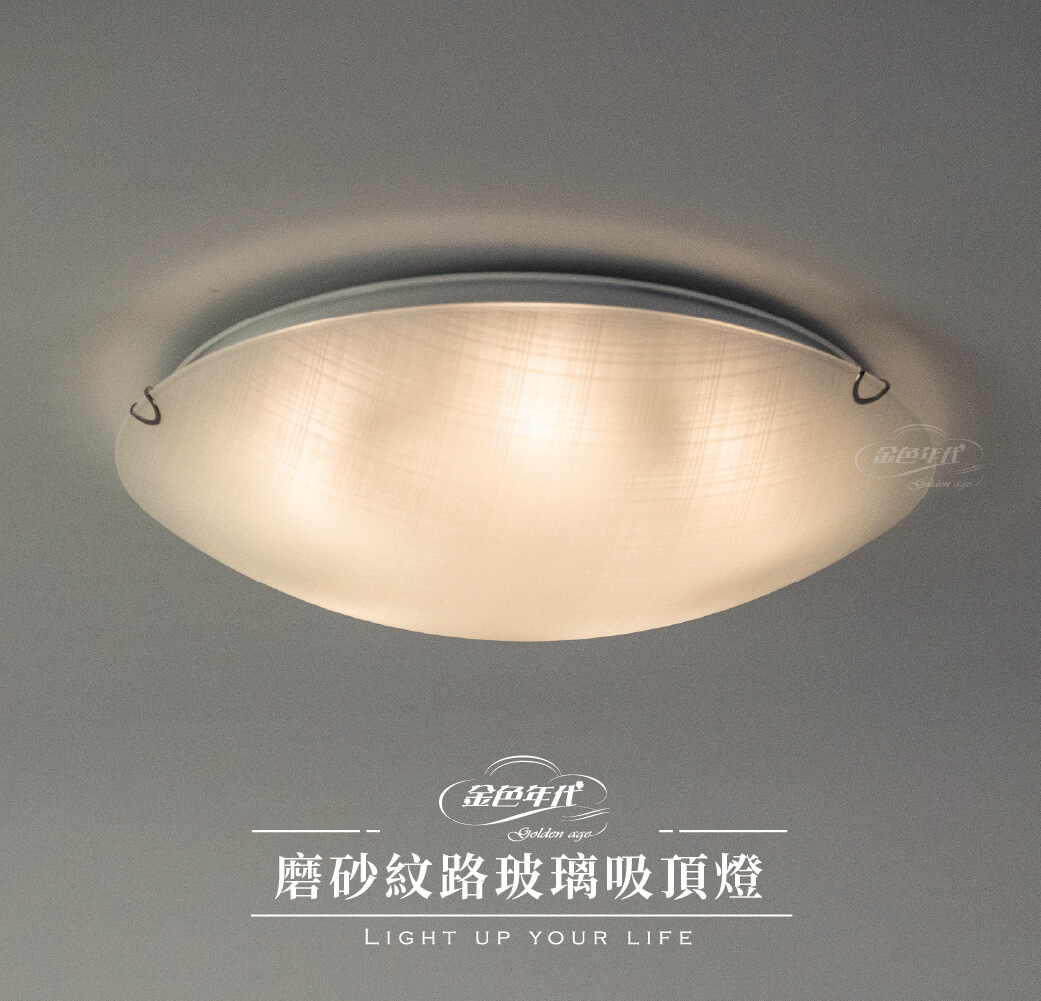 GA10官網圖文-磨砂紋路玻璃吸頂燈-大01