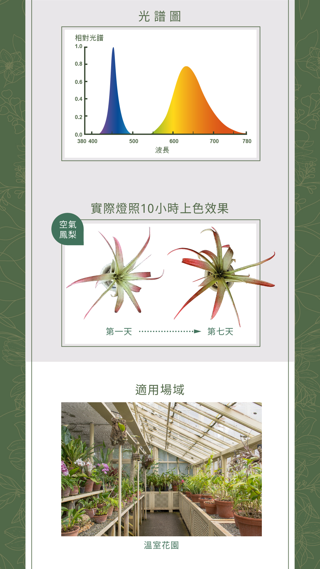 2022南區-植物燈管_官網圖文-v01_02