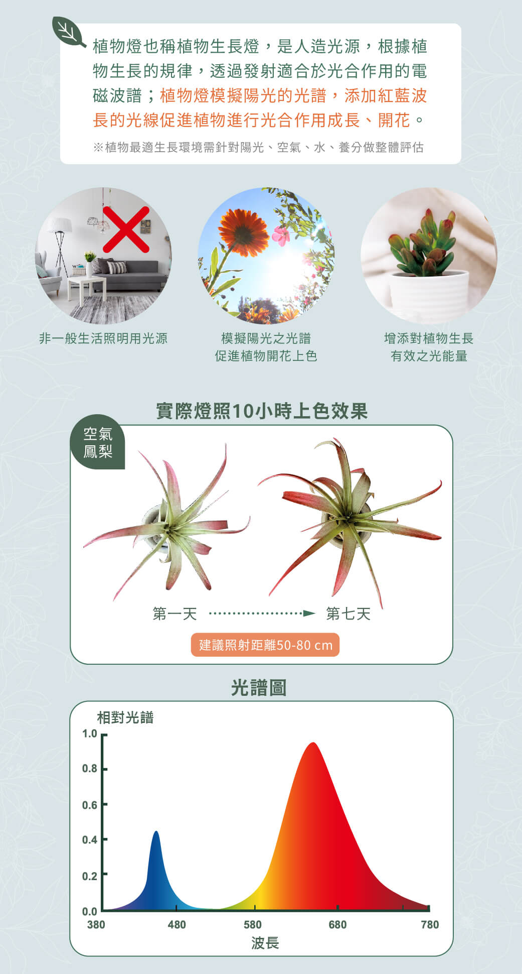 紅藍光譜植物PAR燈_官網圖文-v01_02