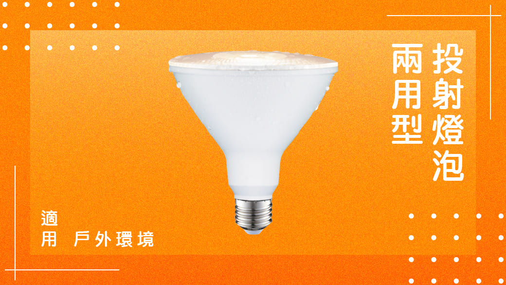 2023省電燈泡推薦-兩用型投射燈泡