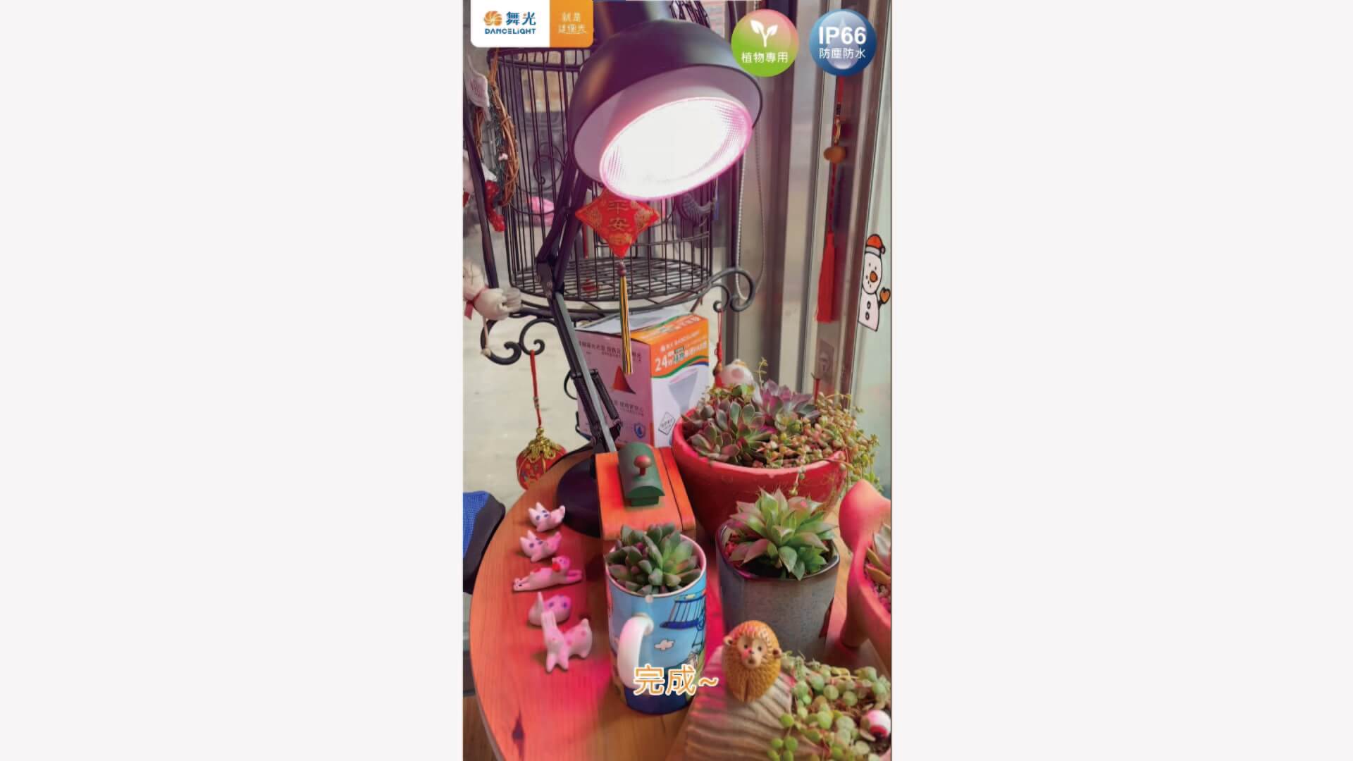 【舞光】植物紅藍PAR燈安裝 | 室內花園 | 植物專用