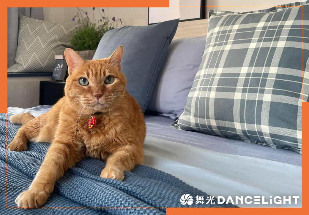 文章看到最後的你，獲得喵福利乙張