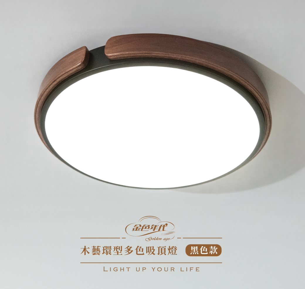 GA11-2421-木藝環型多色吸頂燈_01
