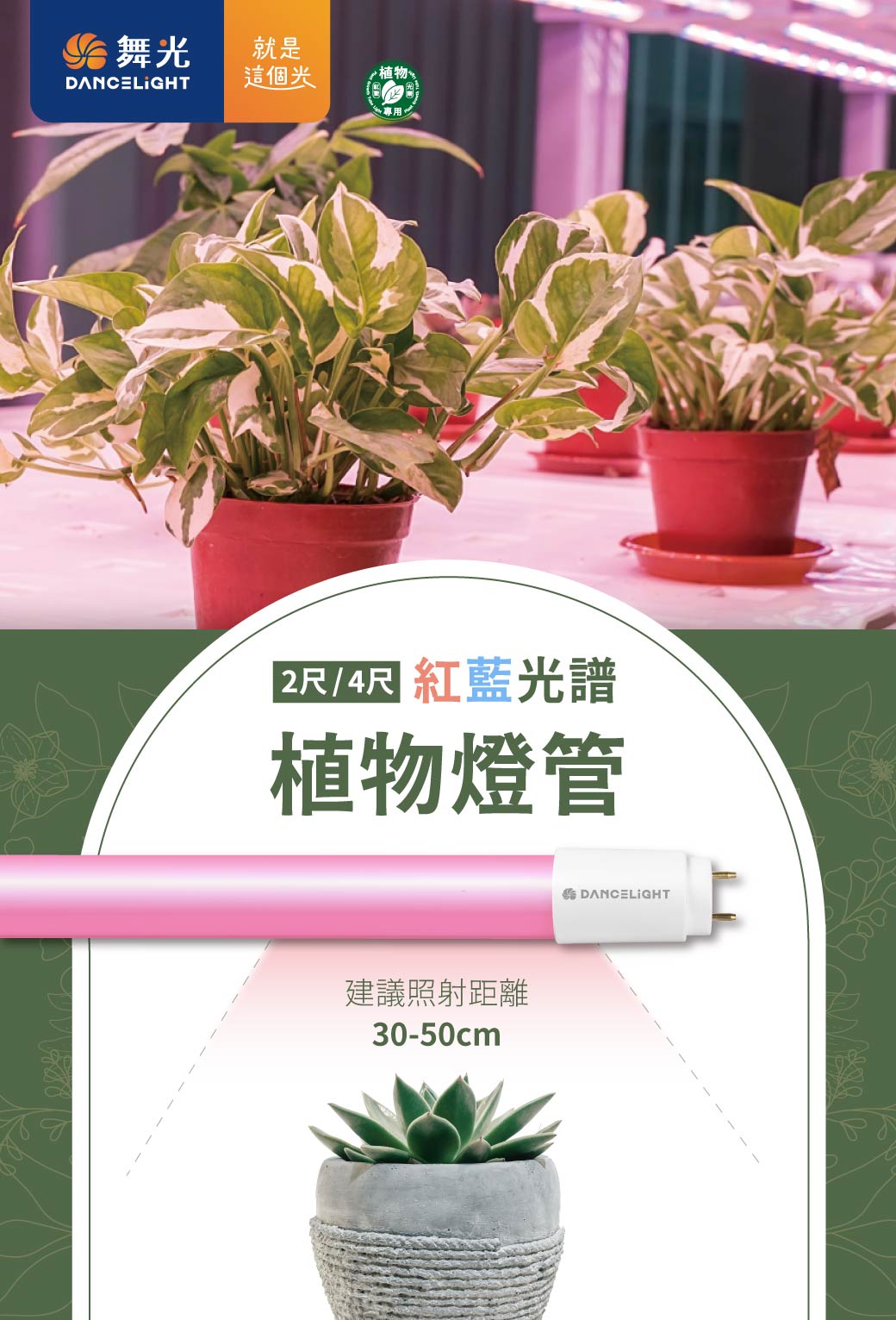 202509-植物燈管_官網圖文-v01_01