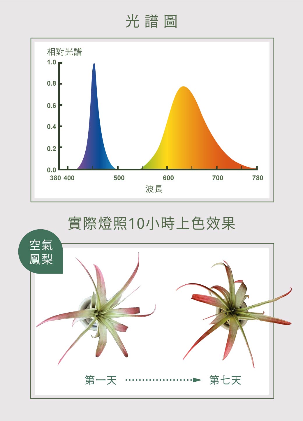 202509-植物燈管_官網圖文-v01_02
