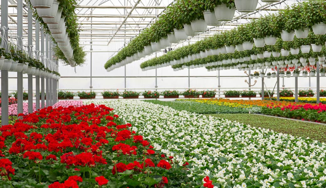 202509-植物燈管_官網圖文-v01_情境圖1