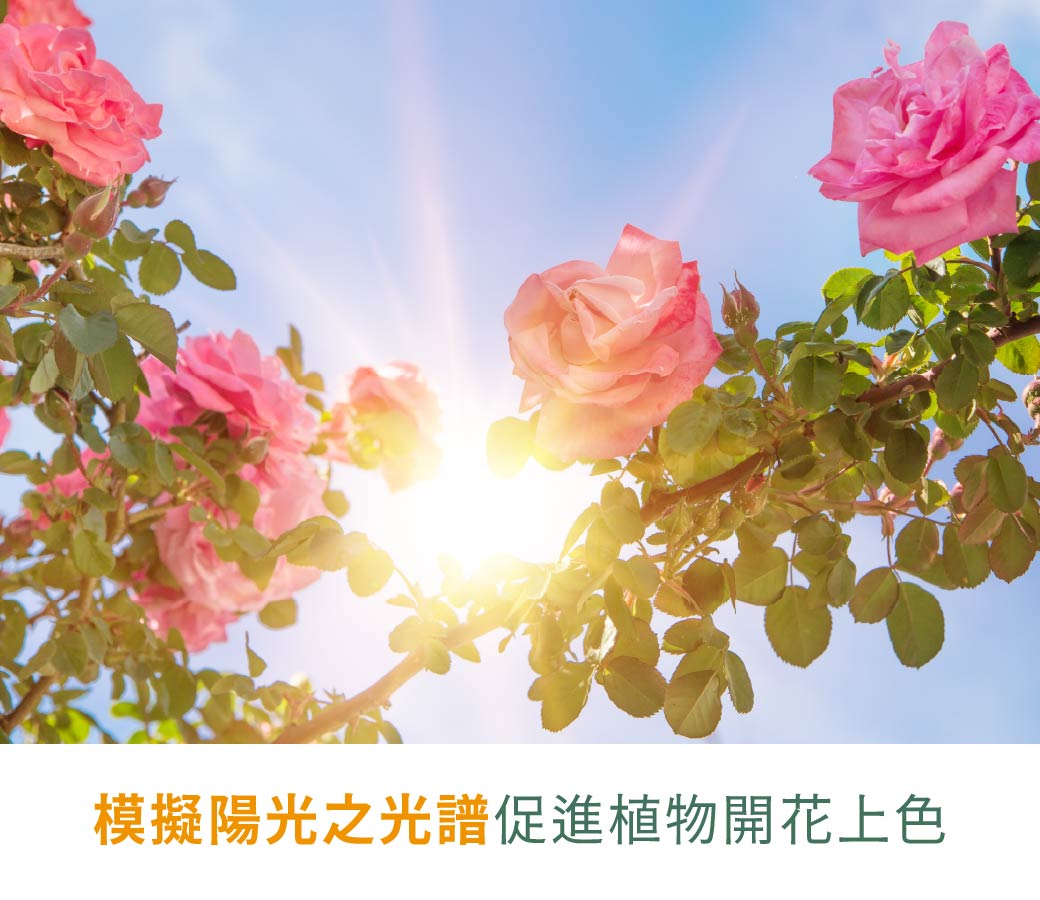 202509-植物燈管_官網圖文-v01_產品介紹3