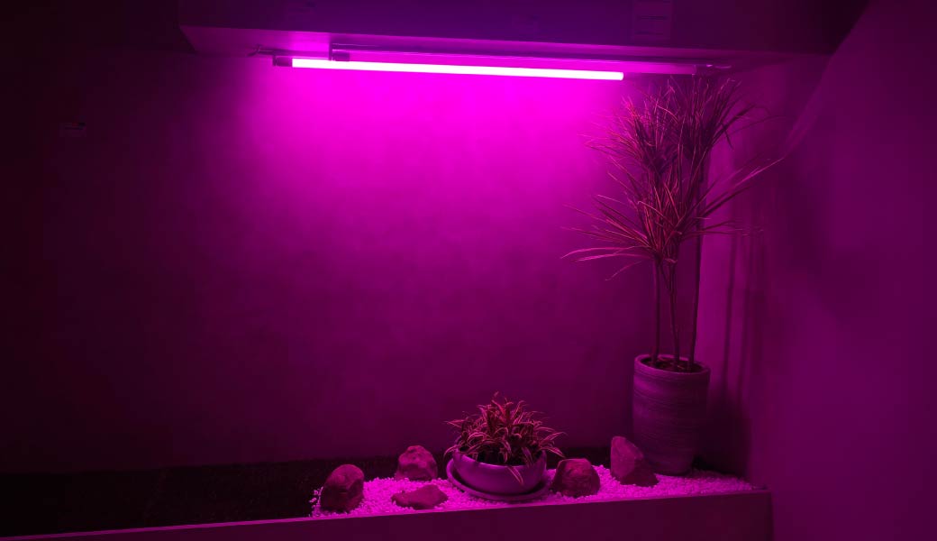 202509-植物燈管_官網圖文-v01_情境圖3