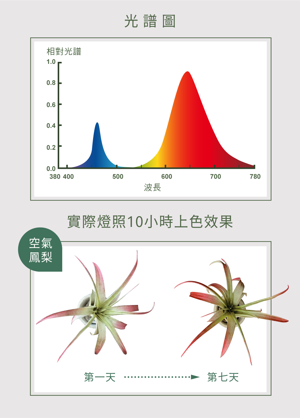 紅藍光譜植物PAR燈_官網圖文-v01_特色_光譜圖