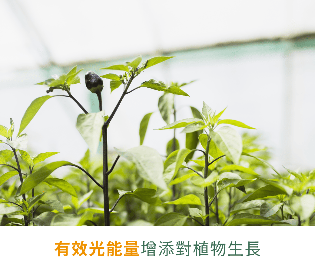 202509-全光譜燈管_官網圖文-v01_產品介紹03