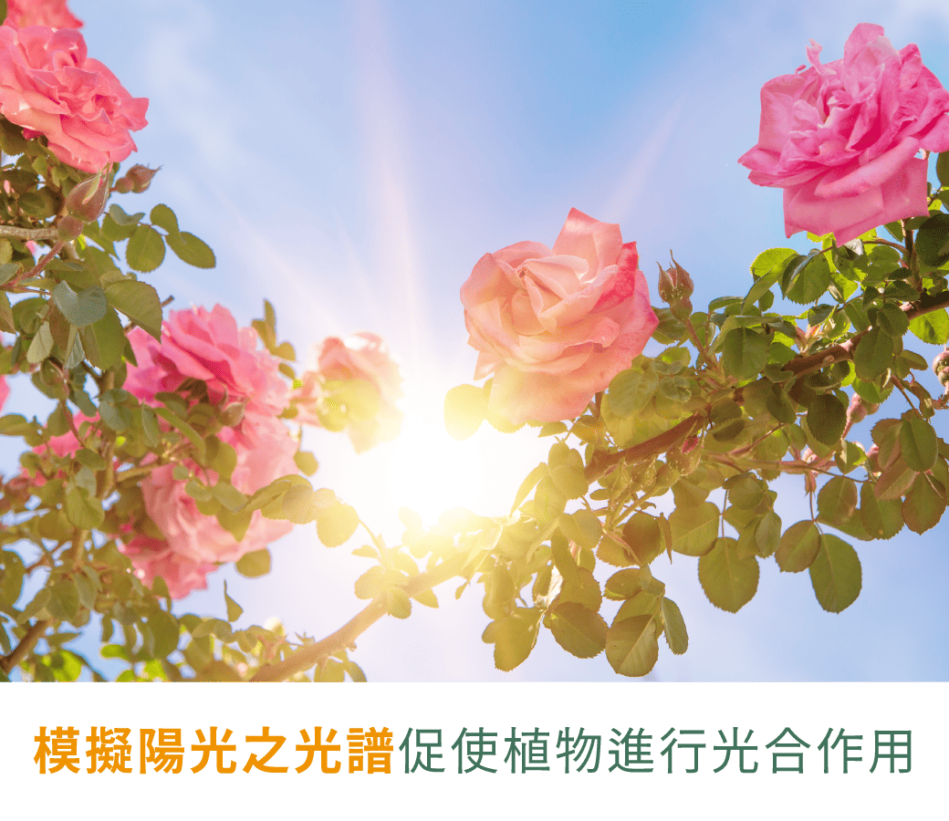 202509-全光譜燈管_官網圖文-v01_產品介紹02