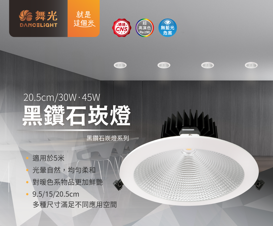 20.5公分黑鑽石崁燈_01