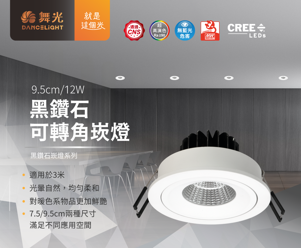 202511-9.5公分黑鑽石可轉角崁燈-官網圖文_01